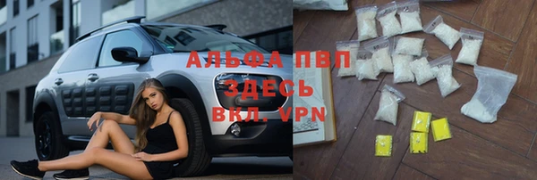 трава Сатка