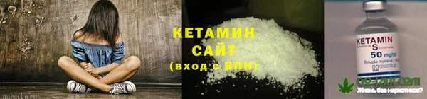 ПСИЛОЦИБИНОВЫЕ ГРИБЫ Кулебаки