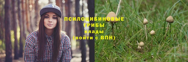 ПСИЛОЦИБИНОВЫЕ ГРИБЫ Кулебаки