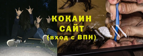 ПСИЛОЦИБИНОВЫЕ ГРИБЫ Кулебаки