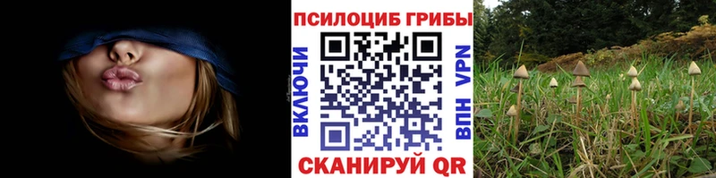 как найти закладки  Юхнов  Галлюциногенные грибы MAGIC MUSHROOMS 